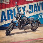 Profile Picture of Laney David (@laneshifterlaney) on Instagram