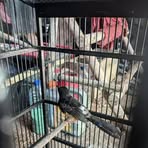 Profile Picture of Berkah Gambutt (@Berkah-Gambutt) on Facebook