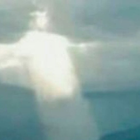 Profile Picture of Kevin Loughrin (@kevinloughrin) on Poshmark