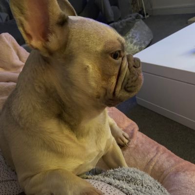 Profile Picture of Tasha R (@TashaDowden) on Twitter