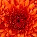 Profile Picture of Nora Kalam (@Nora-Kalam) on Facebook