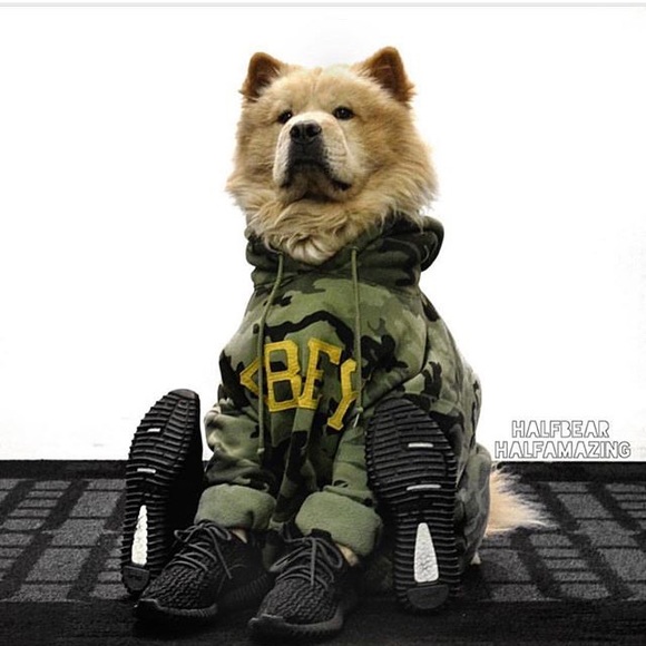 Profile Picture of Alex Sepulveda (@sneakmeals) on Poshmark