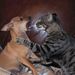 Profile Picture of Dawni Secrest (@dsecrest1) on Pinterest