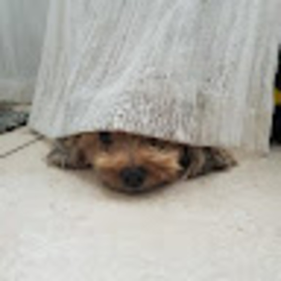 Profile Picture of Gareth Perez (@garethprz) on Poshmark