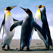 Devin Pennington - Youtube Profile Picture of Devin Pennington (@devinpennington1703) on Youtube