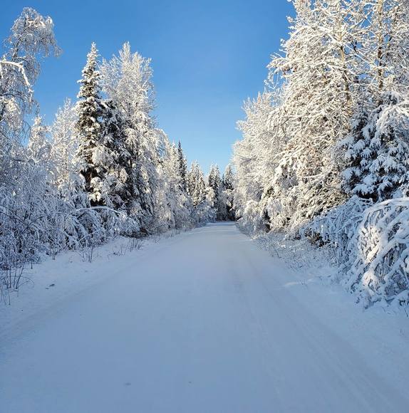 Profile Picture of Becky Zahller (@bexzay) on Poshmark