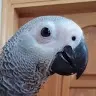 Profile Picture of Austin Dean (@@austinmcdean06) on Tiktok