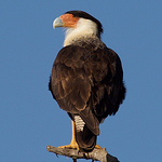 Profile Picture of Larry Martin (@LCM1867) on Flickr