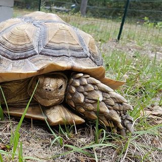 Profile Picture of Michael Britton (@michael.britton.7330) on Facebook