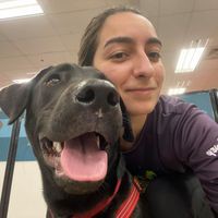 Profile Picture of Amanda Pou (@amanda-pou-1) on Quora