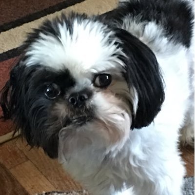 Profile Picture of Robert Kerley (@Kerley3Robert) on Twitter