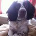 Profile Picture of Harry Adair (@harry.adair.1) on Facebook
