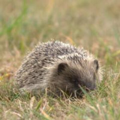 Profile Picture of Jon Steer (@jonathan_steer) on Twitter