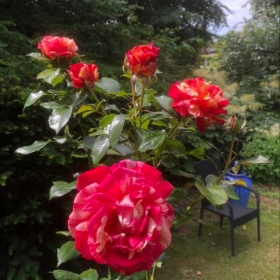 Profile Picture of Erik Schütze (@erikschtze1) on Twitter