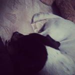 Profile Picture of remington (@remycraig2018) on Instagram