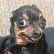 Profile Picture of David Marinez (@davidmarinez4906) on Youtube