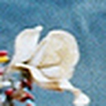 Profile Picture of alice brown (@alicebrown) on Flickr