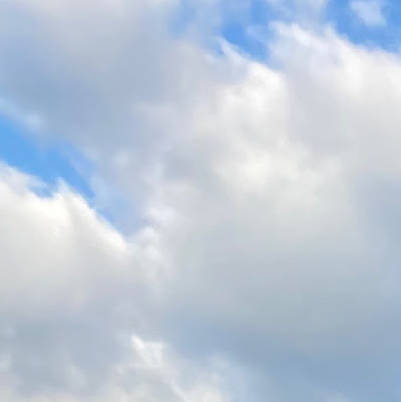 Profile Picture of Ulrike Puryear (@puryearuk) on Poshmark