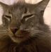 Profile Picture of Matthew Jenney (@matthew.jenney.52) on Facebook