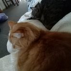 Vicki Clarke - Facebook Profile Picture of Vicki Clarke (@Vicki-Clarke) on Facebook