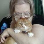 Profile Picture of Dawn Roush (@dawnroush) on Instagram