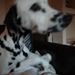 Profile Picture of Robert Poehler (@poehler0219) on Pinterest
