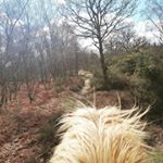 Ellen Knight - Instagram Profile Picture of Ellen Knight (@ellen_kn1ght) on Instagram