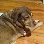 Profile Picture of Sandra Taylor (@sandra.llewellyn.taylor) on Instagram