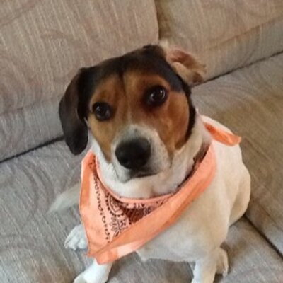 Profile Picture of Doug Macrae (@doug_macrae) on Twitter