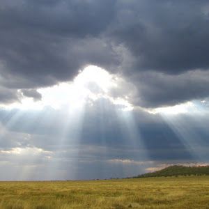 Profile Picture of stevenemeth20707 (@stevenemeth20707) on Tiktok