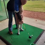 Profile Picture of Gordon Gibbons (@gordon.gibbons.988) on Facebook