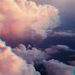 Profile Picture of Kahiau W (@kahiauw) on Pinterest