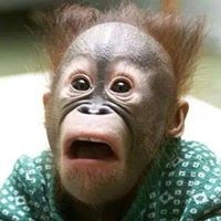 Profile Picture of Corrie Wright (@corrie-wright) on Quora