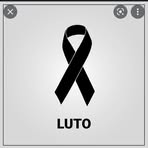 Profile Picture of Alan Cassanelli (@alan.cassanelli.50) on Facebook