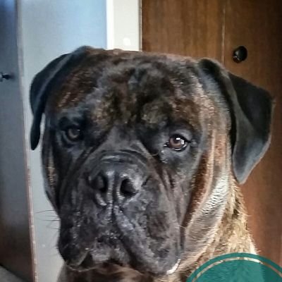 Profile Picture of Troy Baum (@BaumTroy) on Twitter