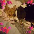 Profile Picture of Dawn Keough (@dawn.keough.395) on Facebook