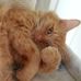 Profile Picture of Aaron Egger (Scrappy) (@Aaron-Egger) on Facebook