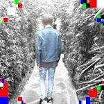 Jorge Cruz - Instagram Profile Picture of Jorge Cruz (@lenoramillerohavuv) on Instagram