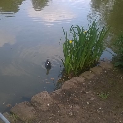 Profile Picture of James Field (@Convivial55) on Twitter