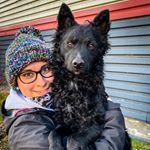 Profile Picture of Mohácsy-Kisfalusi Renáta (@reni_falkaja) on Instagram
