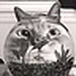 Profile Picture of Cathy and John Brama (@mackenzie_cathy) on Flickr