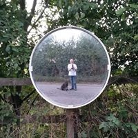 Profile Picture of Andrew Dettman (@andrew-dettman) on Quora