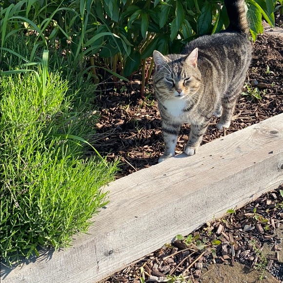 Profile Picture of Kim Mackeen (@mackeenk) on Poshmark