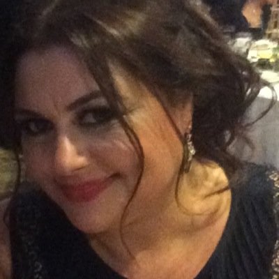 Profile Picture of Zovinar K. Bekmezian (@AniBekmezian) on Twitter