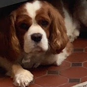 Profile Picture of Joel Fuller (@joelfuller6985) on Youtube