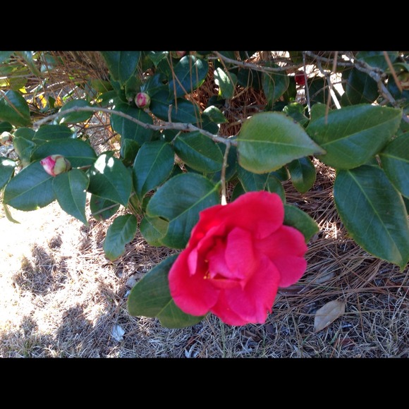 Profile Picture of Joanne Bailey (@jlwbailey49) on Poshmark