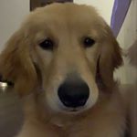 Profile Picture of Juan Inigo Abacan (@ji_abacan) on Instagram