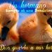 Profile Picture of Michael Almendares (@michael.almendares.121) on Facebook