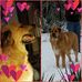 Profile Picture of Val Cummings (@val.cummings.56) on Facebook