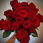 Profile Picture of Rachel Emily Donaghey (@thistleandivyglasgow) on Instagram